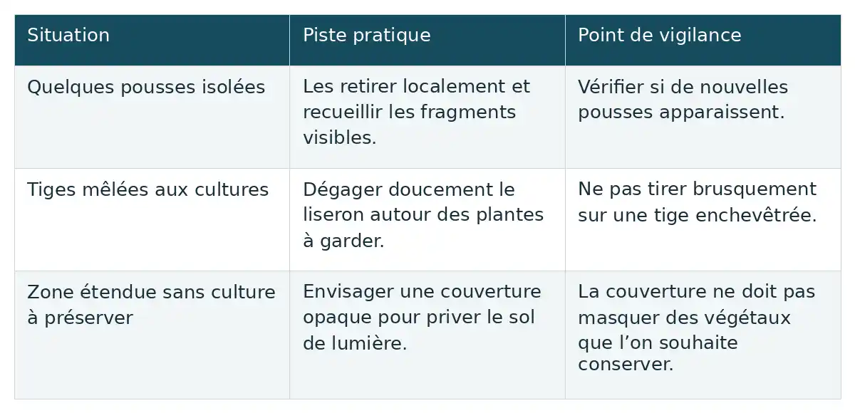 Le tableau aide à choisir une piste selon les pousses isolées, les tiges mêlées aux cultures ou une zone sans culture, avec un point de vigilance pour chacune.