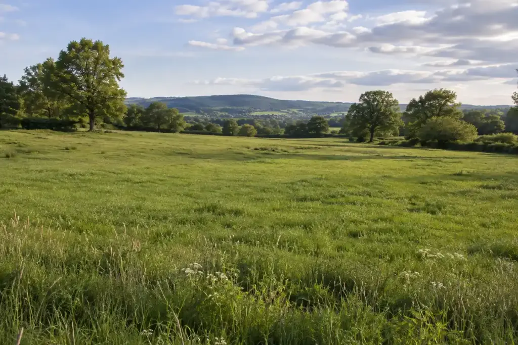 Une superficie de terrain à situer en hectares et en mètres carrés, sans supposer que cette prairie mesure un hectare.